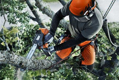 Спил деревьев/Arborist