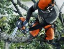 Спил деревьев/Arborist