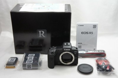 Canon EOS R5, беззеркальная камера Canon EOS R6