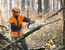 Töötamiseks Eestis Järve-jaani linn Töölisi on vaj