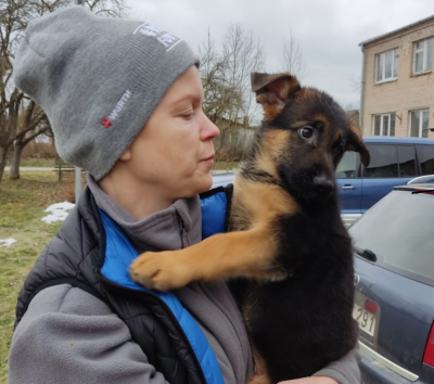 Продаю щенков немецких овчарок