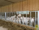 Оборудование для содержания коз, овец и баранов