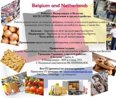 Предлагаем работу в Нидерландах и Бельгии.️