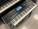 Korg Pa5X, Korg Pa4X, Korg Pa4X MG2 Edition 